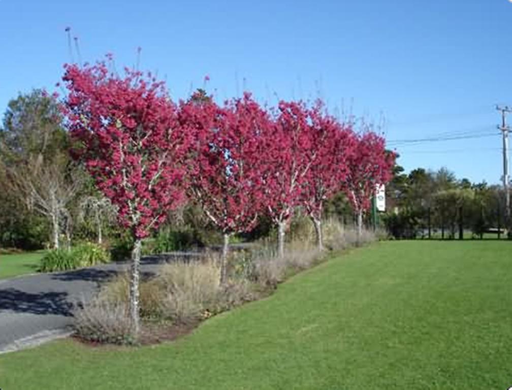 Warkworth Country House 외부 사진