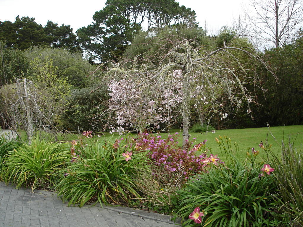 Warkworth Country House 외부 사진