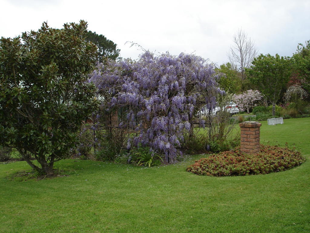Warkworth Country House 외부 사진